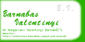 barnabas valentinyi business card